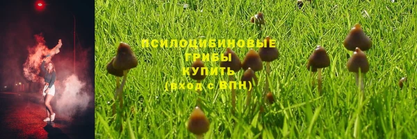 не бодяженный Алексин