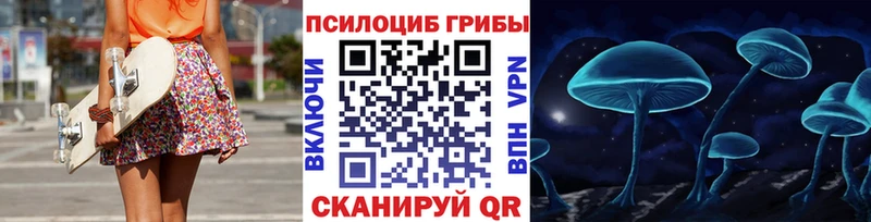 купить наркоту  Олонец  Псилоцибиновые грибы Psilocybe 